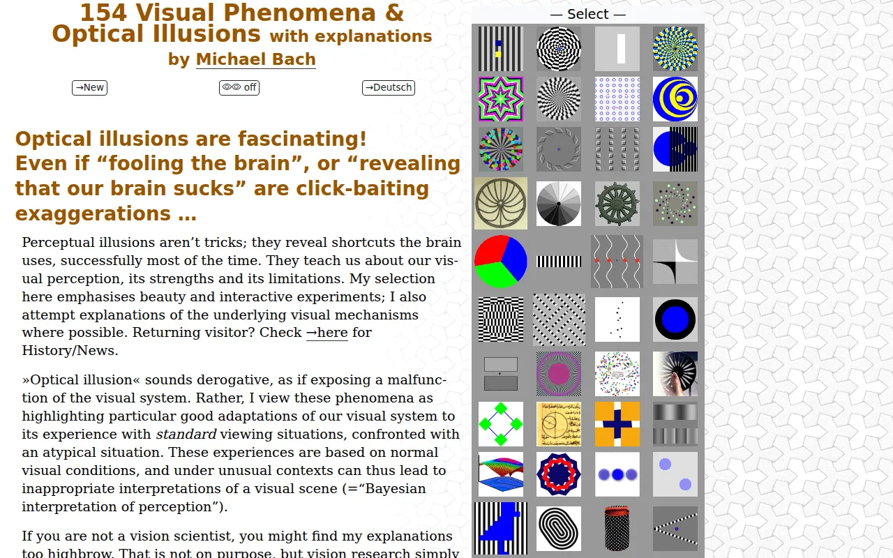 Screenshot of Visual Phenomena & Optical Illusions